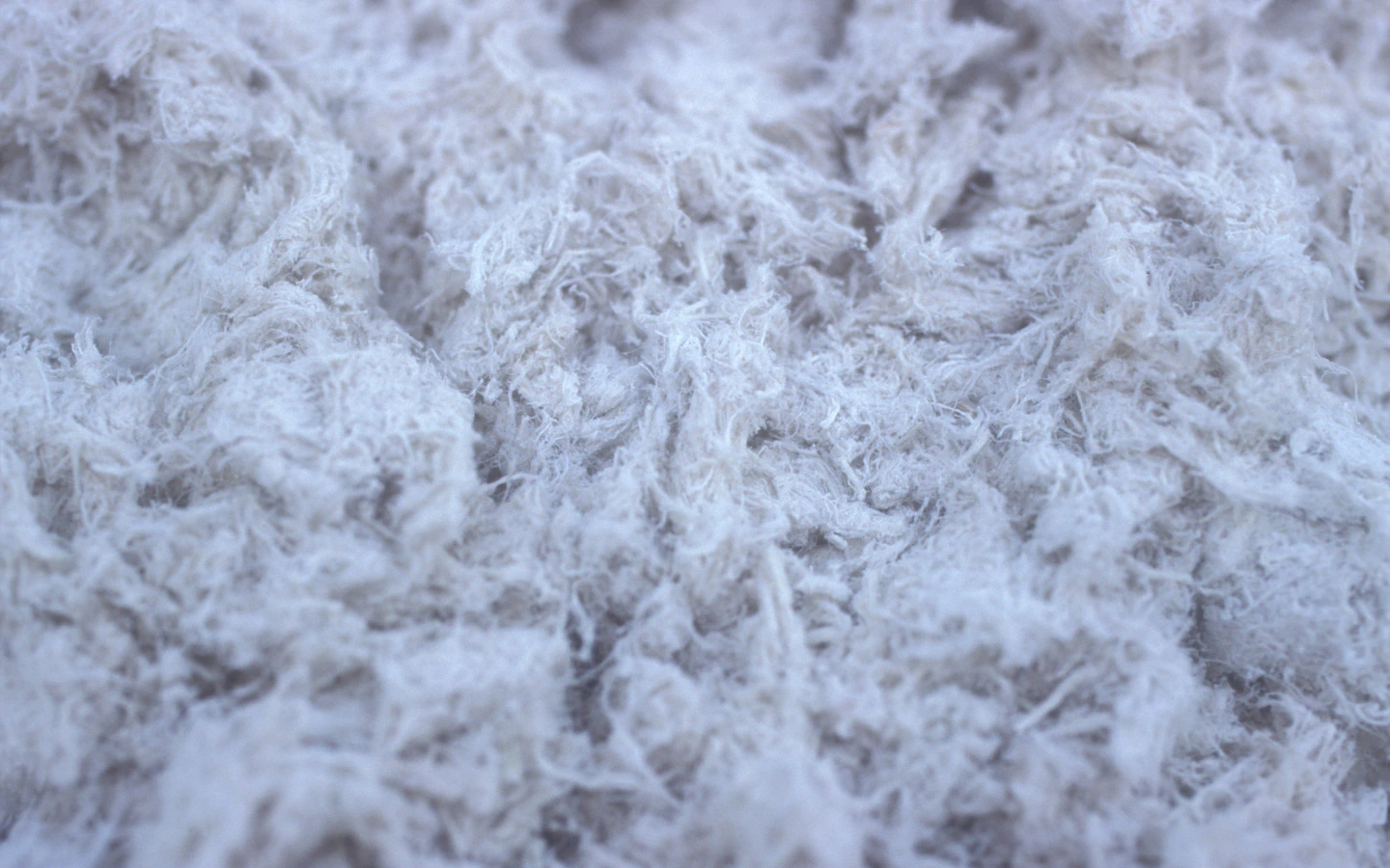 asbestos fiber close up